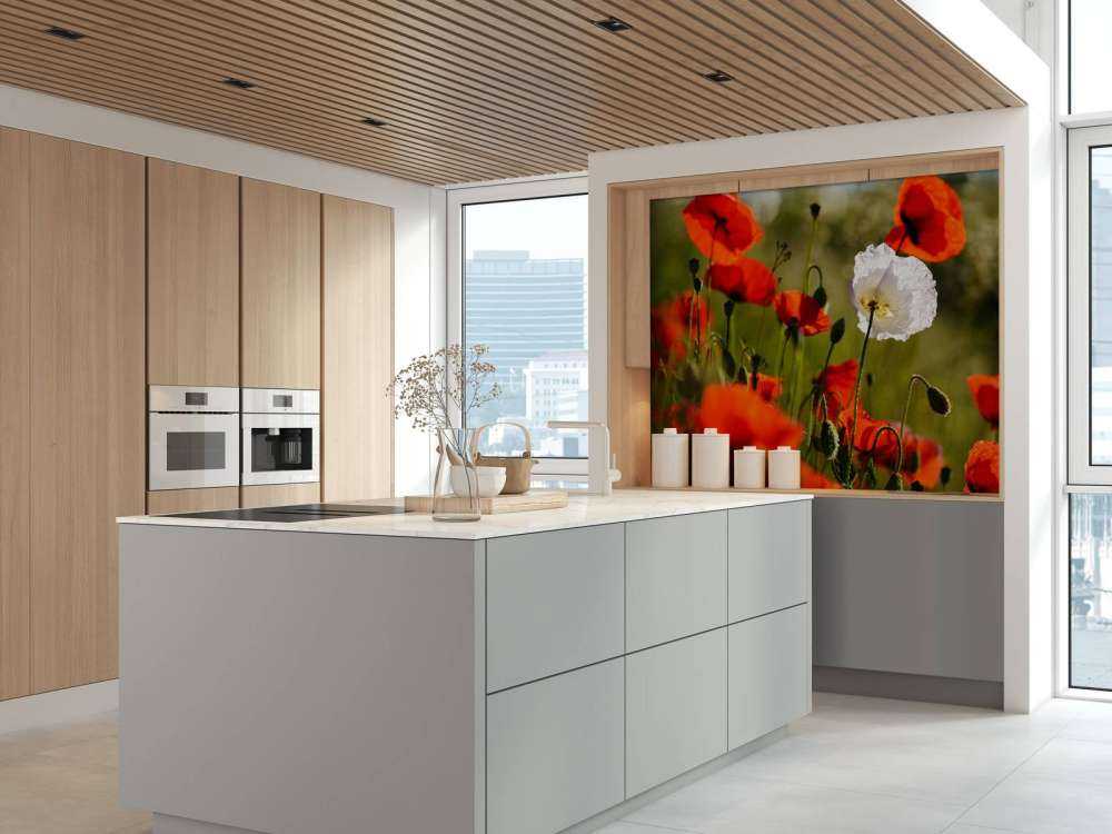 Groupe de coquelicots