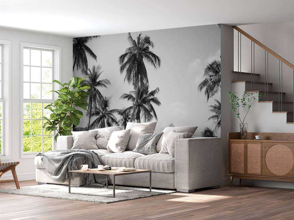 Palmiers en noir et blanc