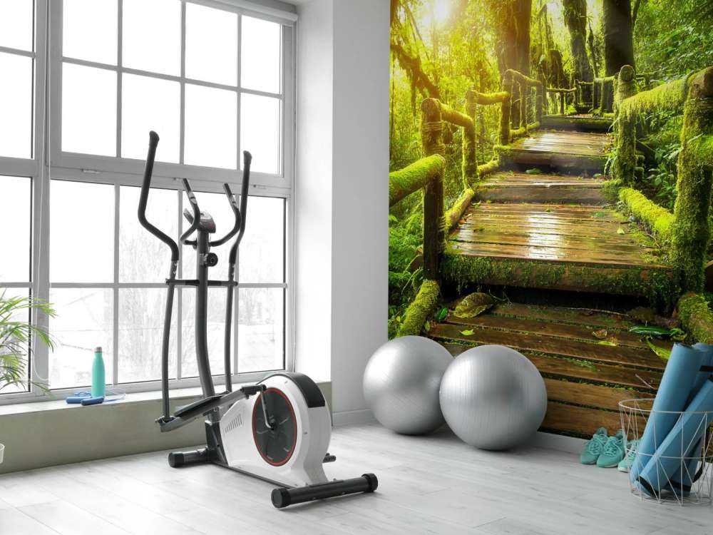 Grand escalier dans la jungle