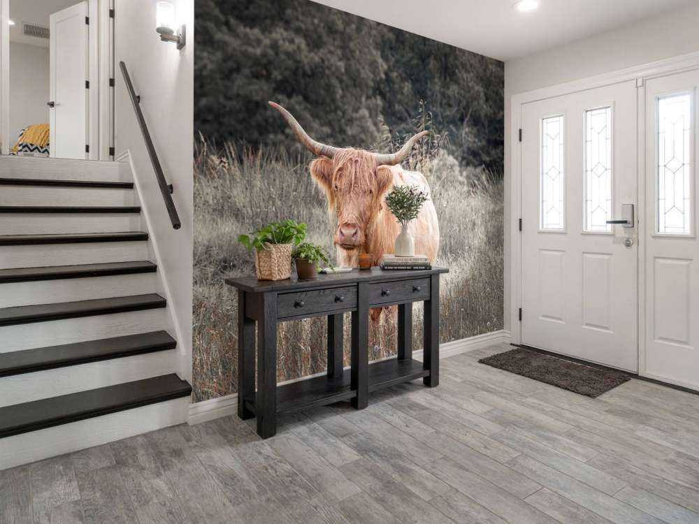 Highlander écossais dans un champ