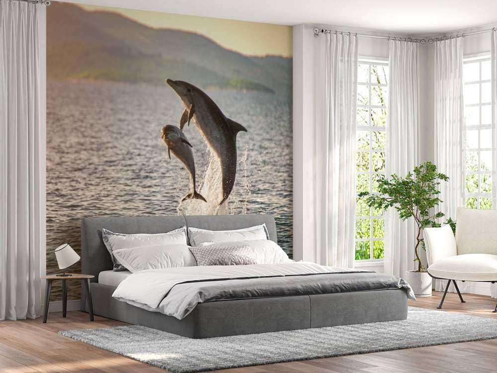 Deux dauphins qui sautent