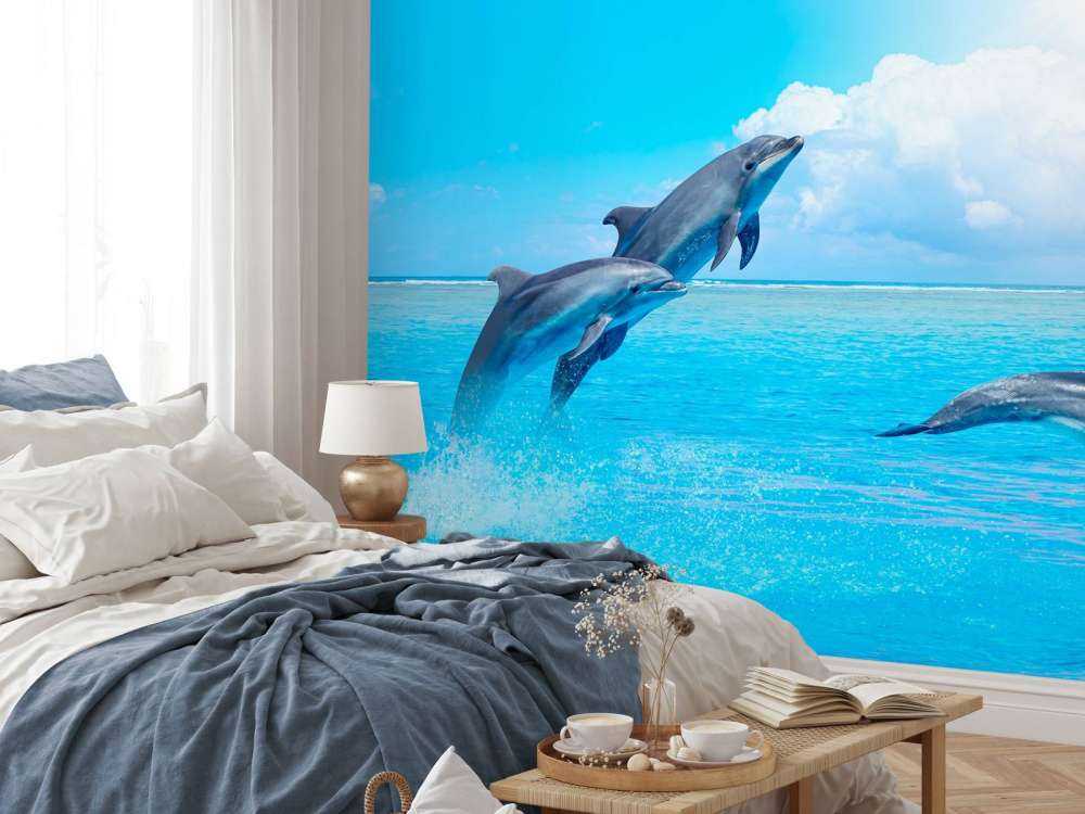 Les dauphins dans l'océan