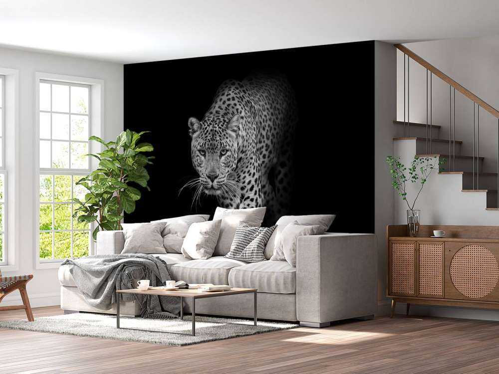 Léopard sur fond noir