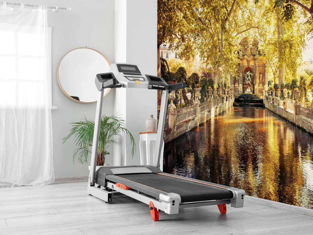 Fontaine&#x20;des&#x20;M&#xE9;dicis