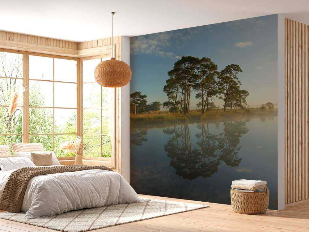 Réflexion dans la lande