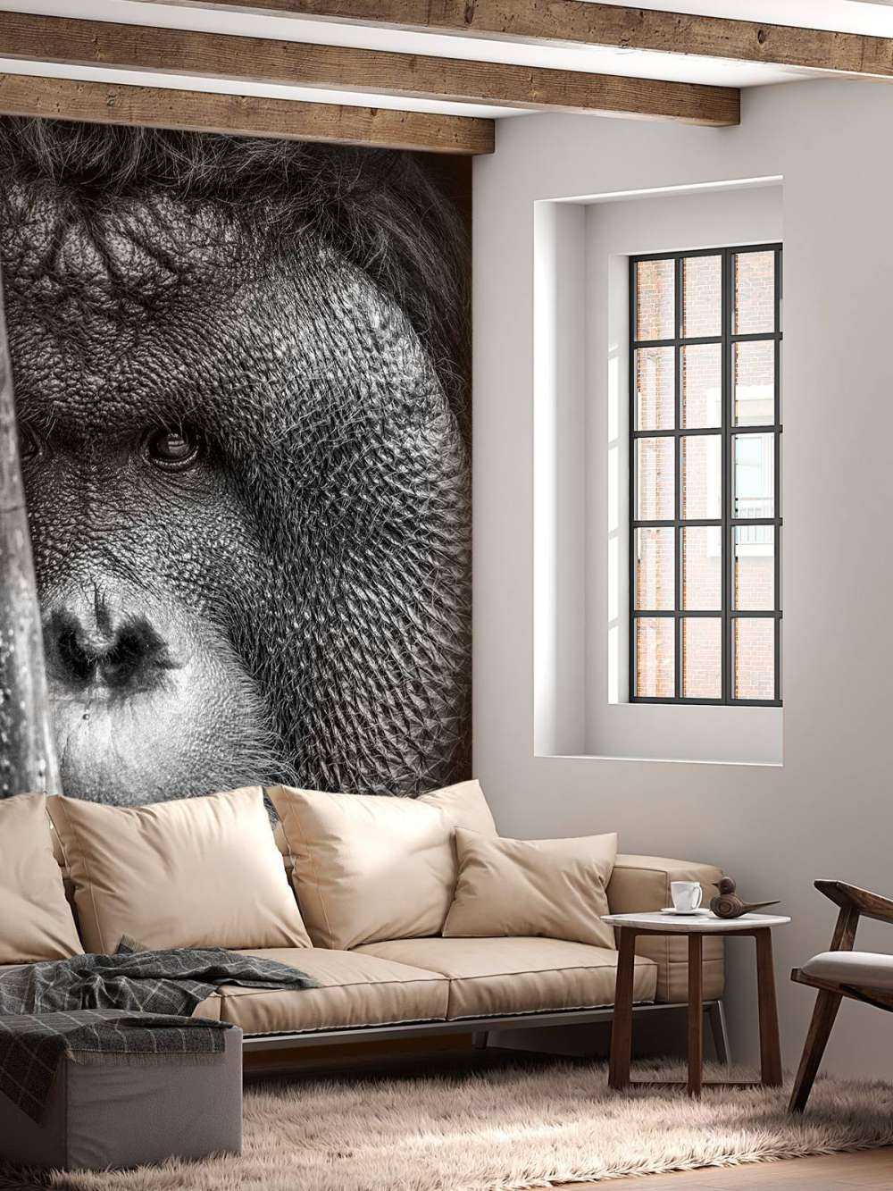 Orang-outan noir et blanc