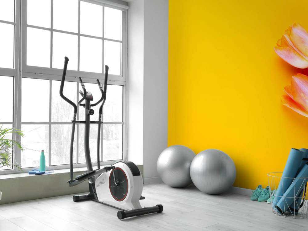 Tulipes sur le jaune