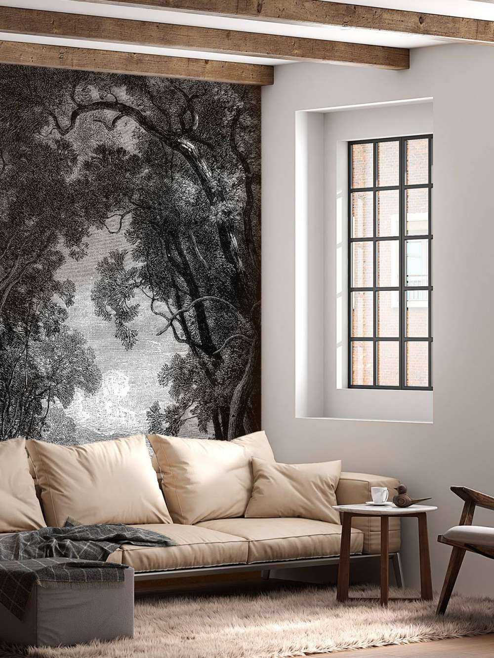 Une vieille rivière dans la jungle