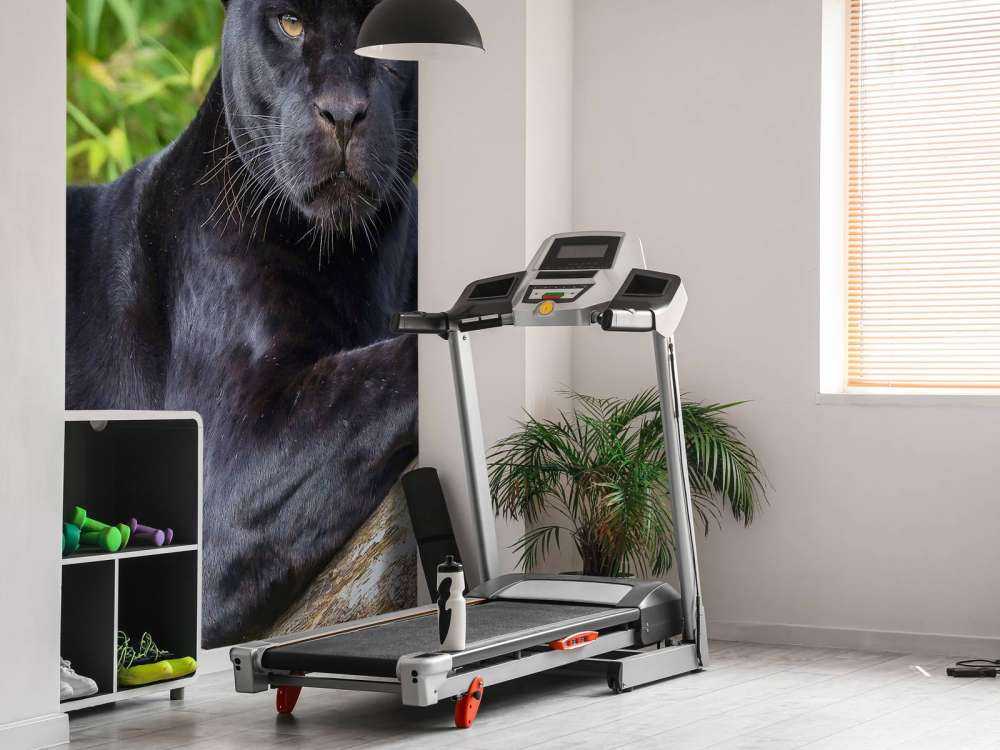 Panthère noire sur un arbre