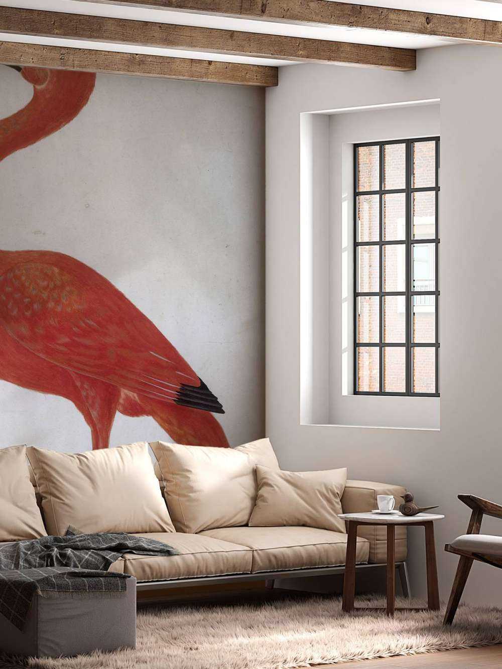 Ibis rouge à l'oeuf