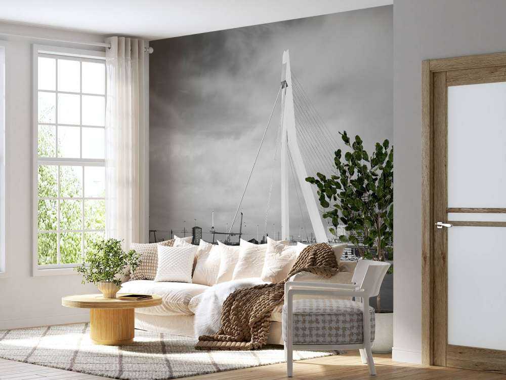 Pont Erasmus Rotterdam