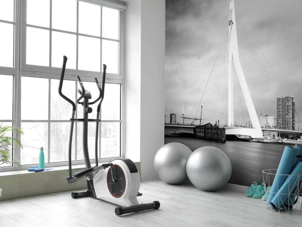 Pont Erasmus Rotterdam