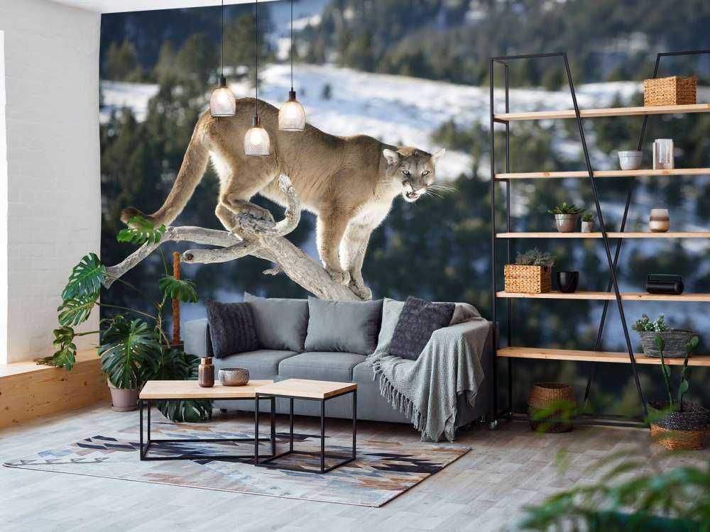 Lion de montagne sur un arbre mort