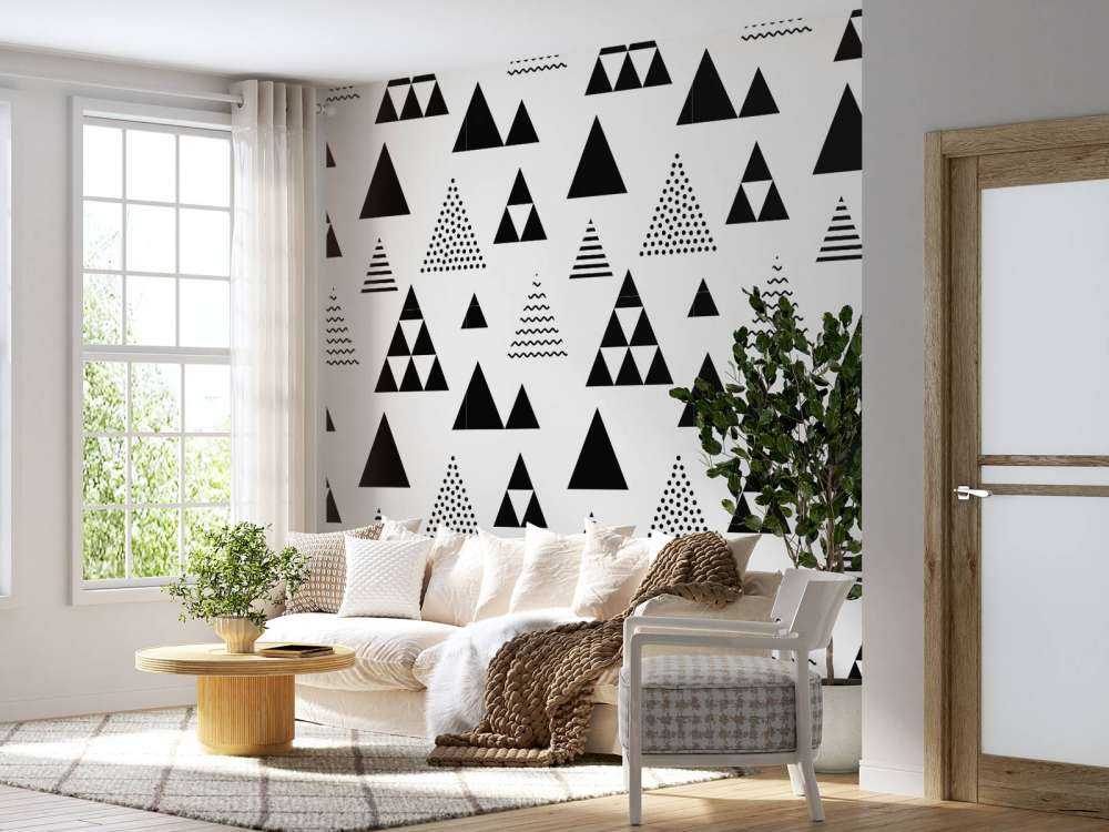Triangles en noir et blanc