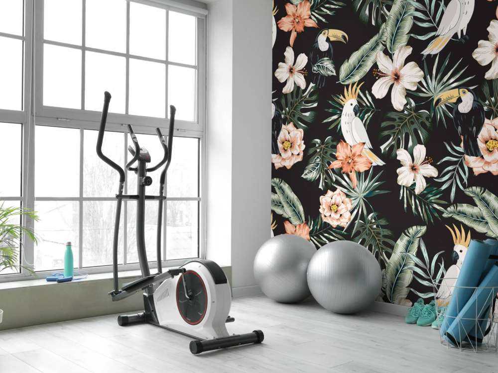 Toucan tropical et perroquet