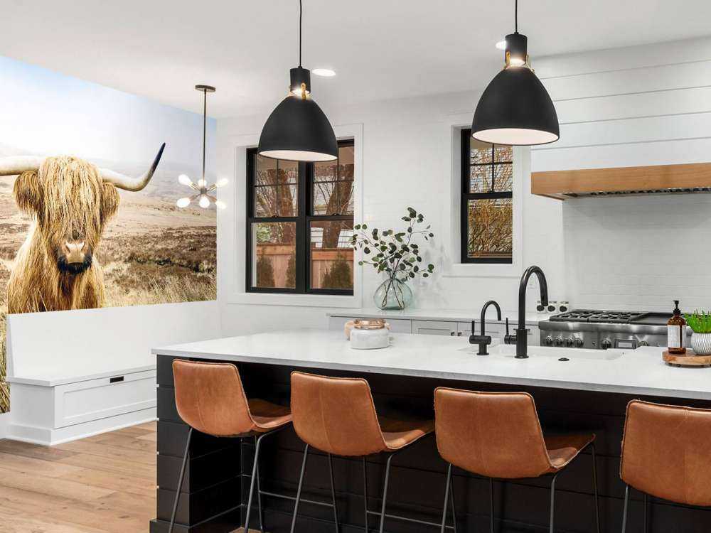 Highland écossais avec roseau