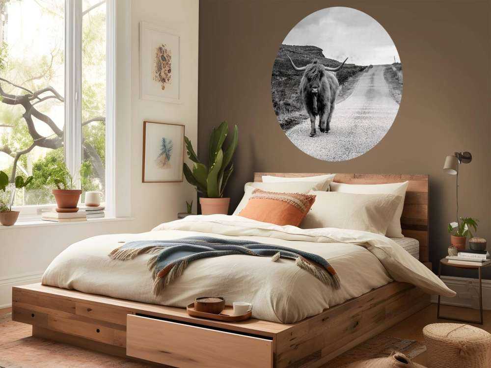 Le Highland écossais sur la route