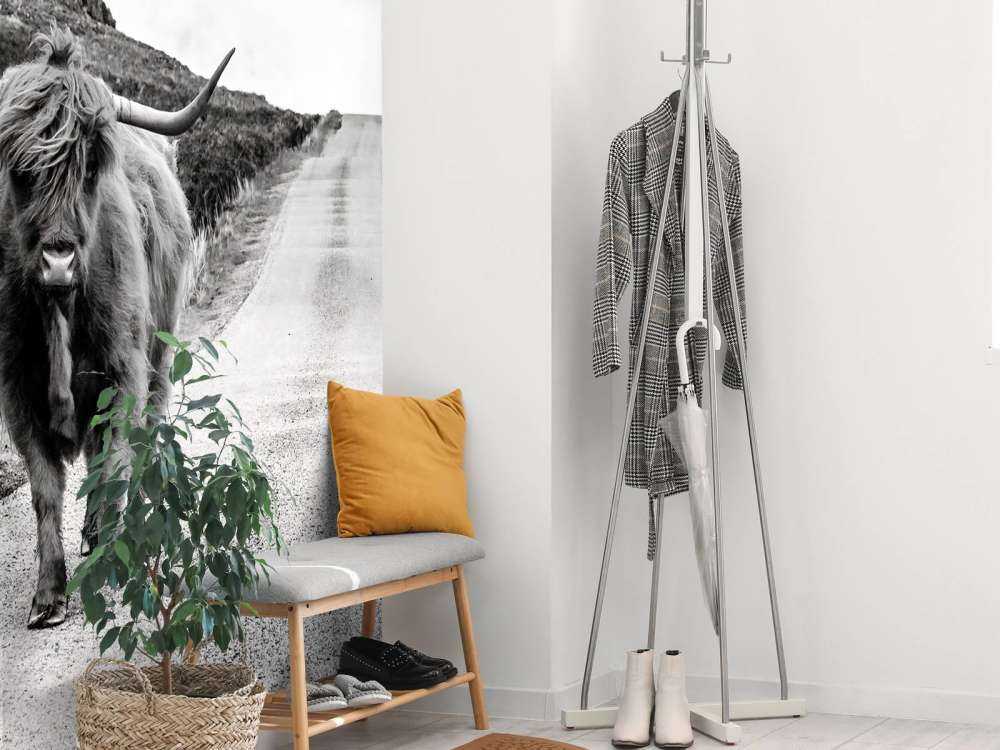 Le Highland écossais sur la route