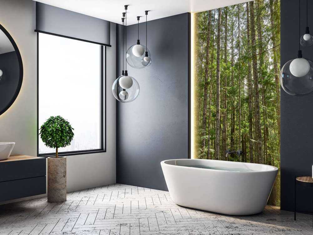 Arbres minces dans la forêt