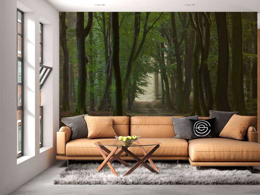 Sentier de sable dans la forêt