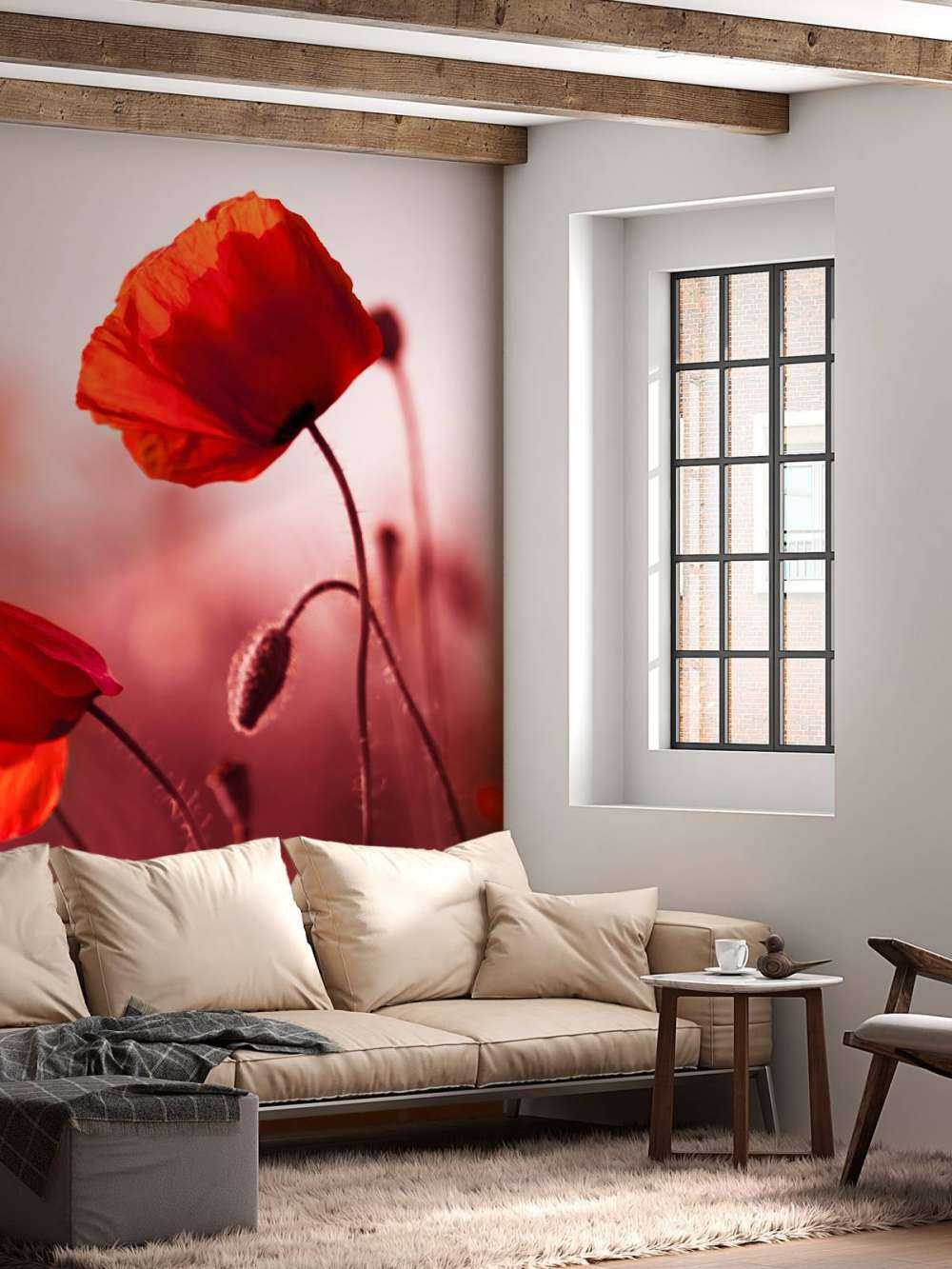 Des coquelicots dans la prairie