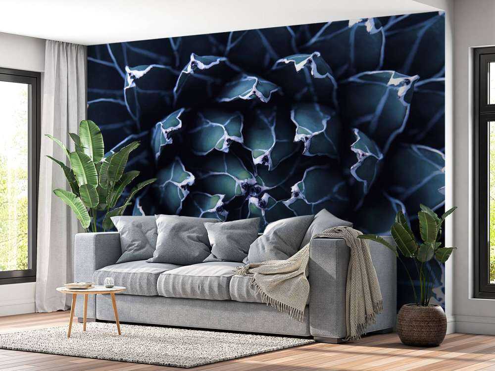 Succulent bleu foncé