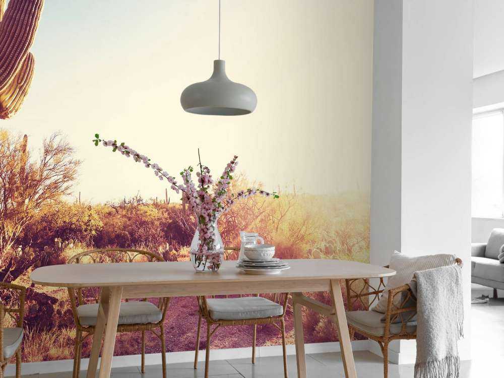 Cactus dans le désert