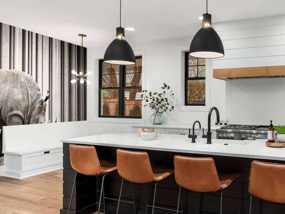 Rhinocéros dans le hall