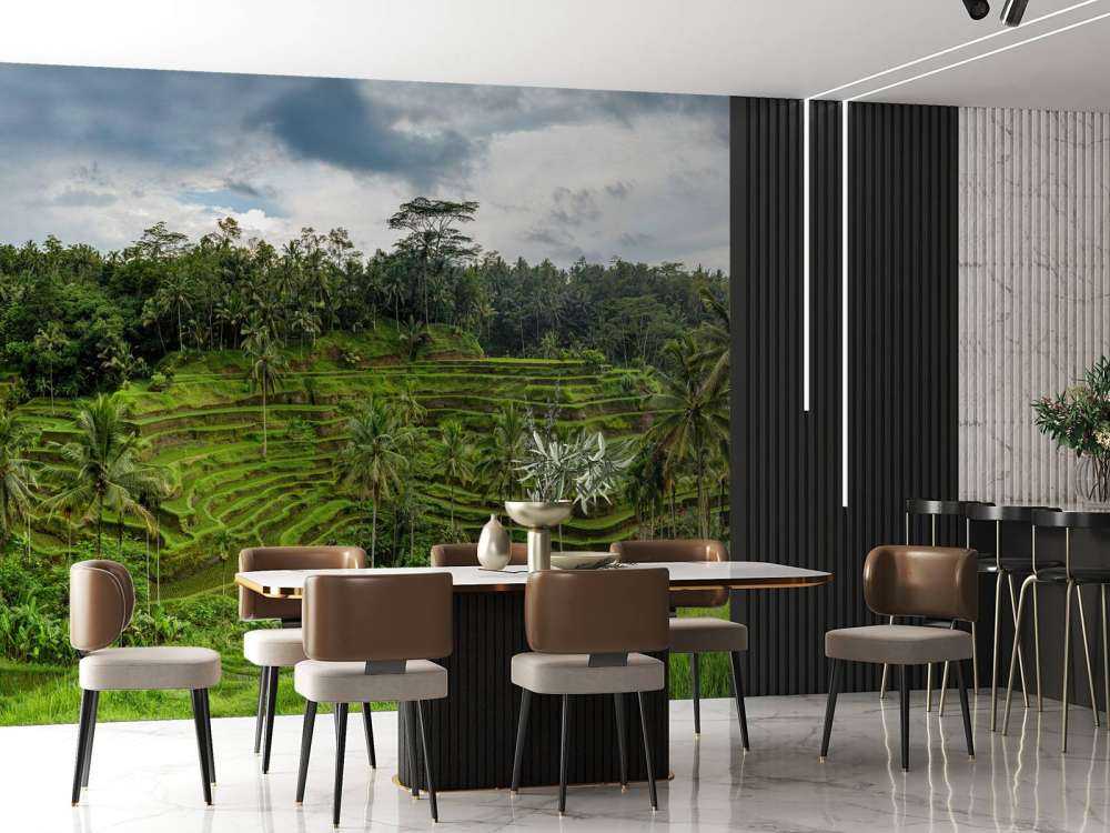 Les rizières thaïlandaises