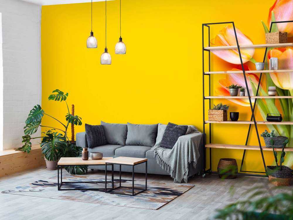 Tulipes sur le jaune