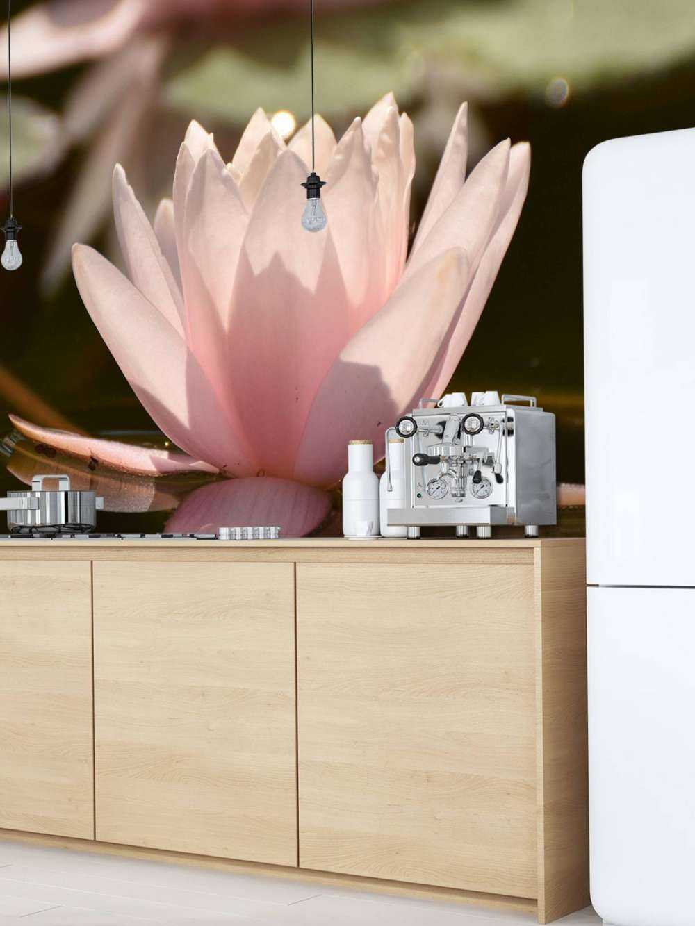 Fleur de lotus dans l'eau