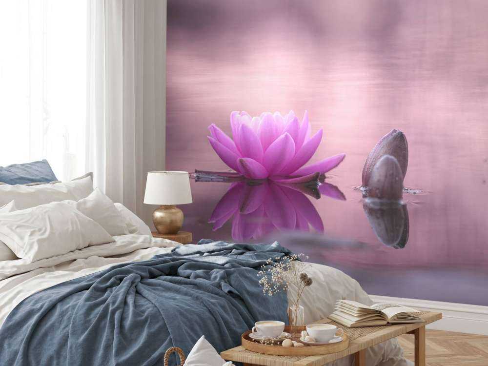 Fleur de lotus dans un étang