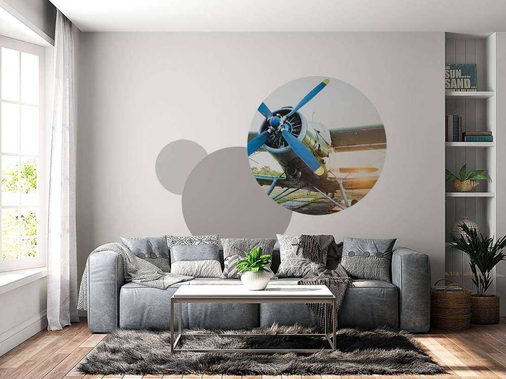 Petit avion privé monomoteur