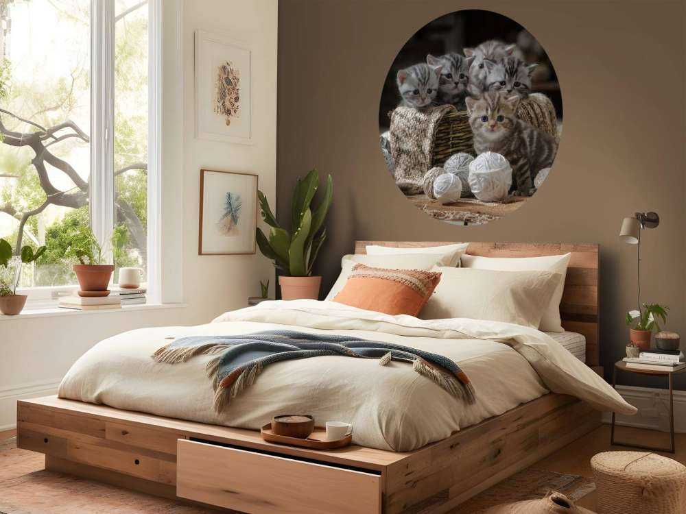 Chatons avec de la laine