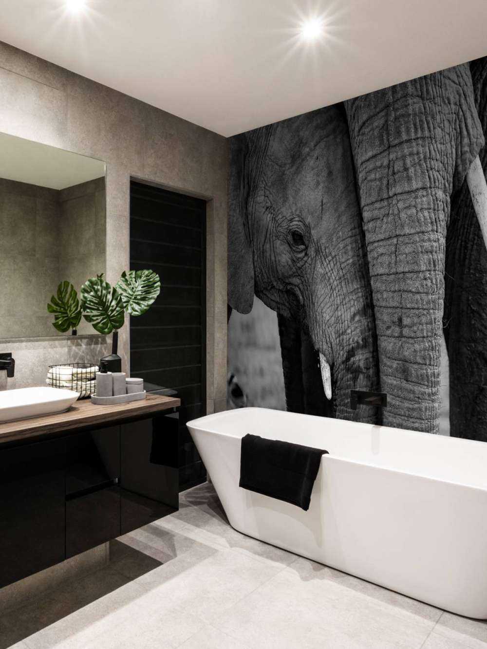 Câliner les éléphants