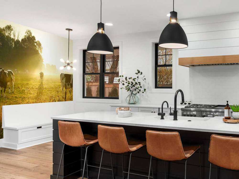 Vache au lever du soleil