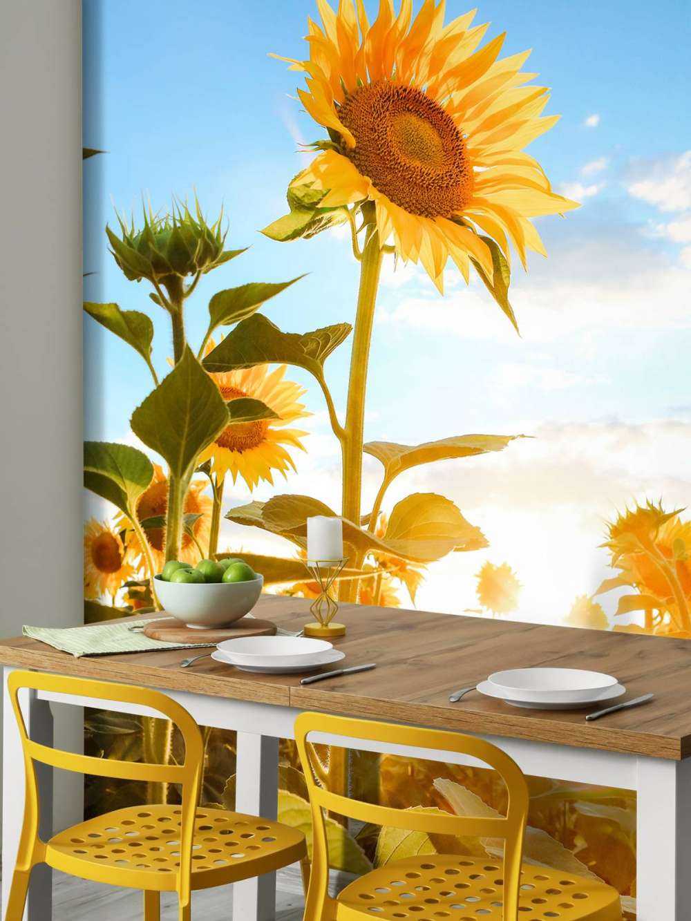 Tournesol avec ciel bleu