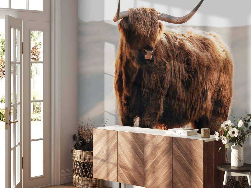 Un Highland écossais sur une colline