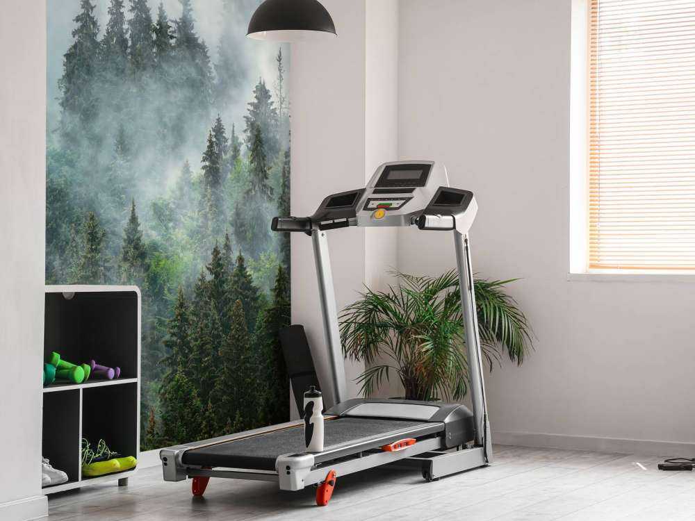 Paysage brumeux avec des arbres verts