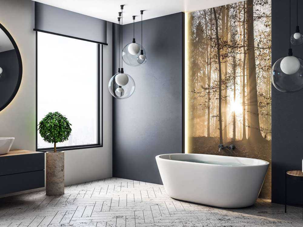 Soleil dans une forêt brumeuse