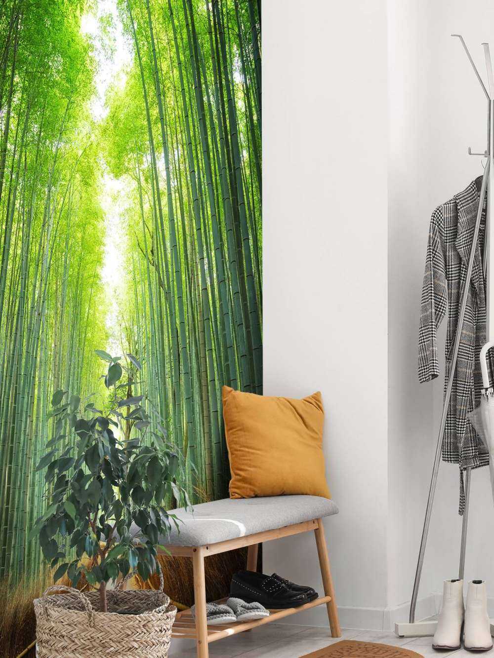 Sentier à travers le bambou