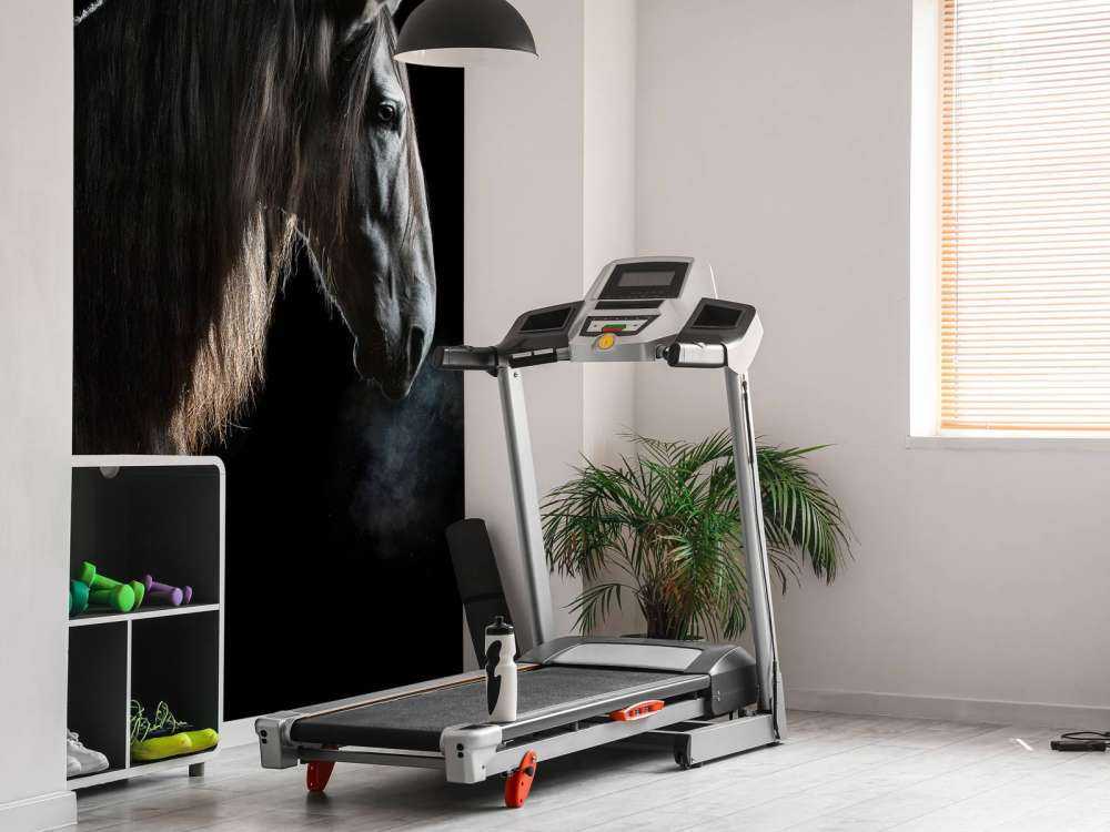 Cheval noir avec une robe grise