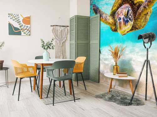 Tortue de mer dans l'océan