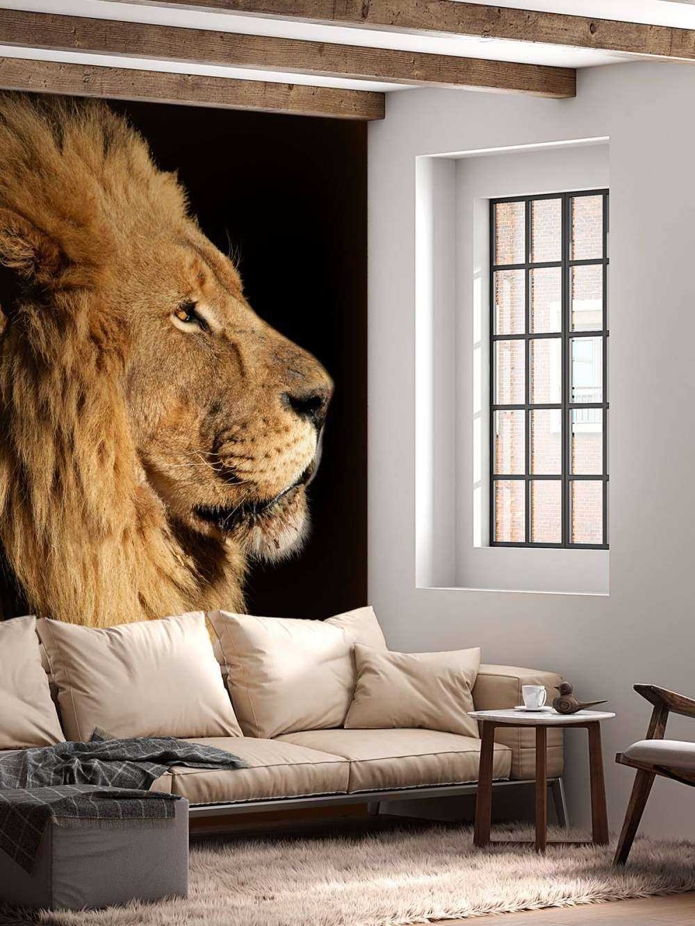 Profil latéral d'un lion