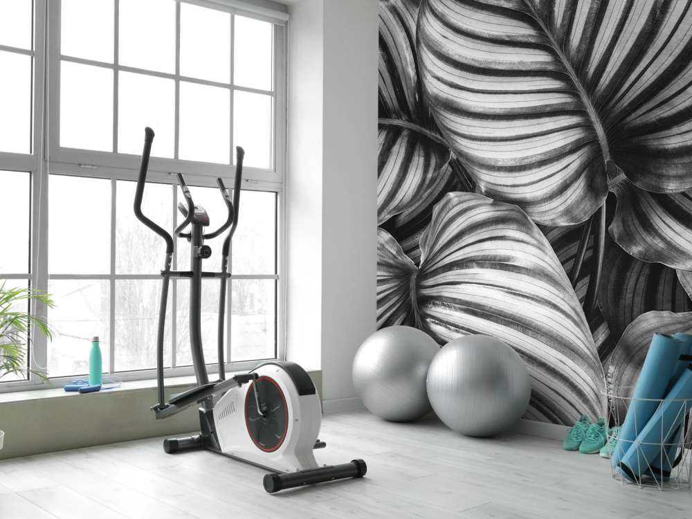 Plante à feuilles rayées