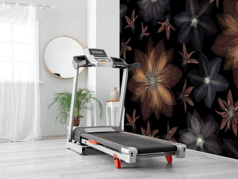 Fleurs de clématites