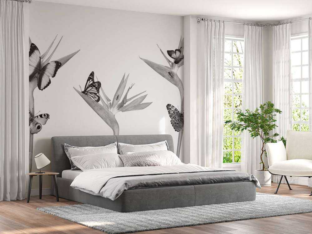 Papillons sur fleurs d'oiseaux de paradis