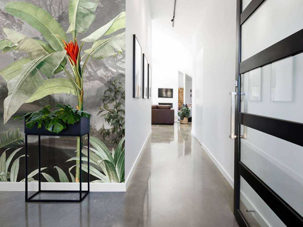 Arbres sous les tropiques