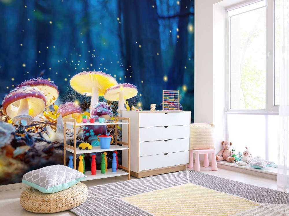 Mystérieuses amanites tue-mouches