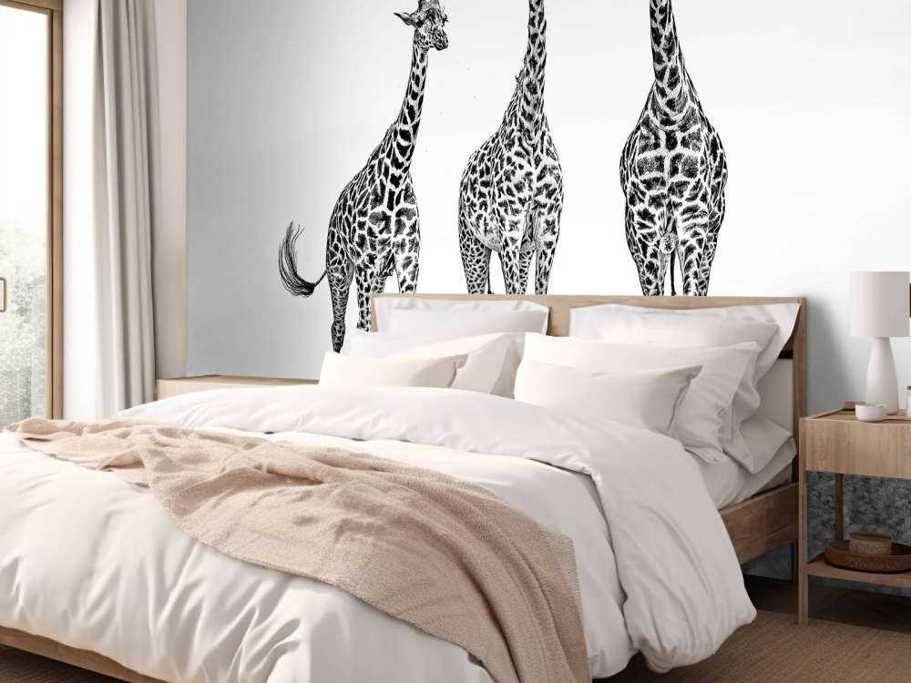 Giraffes in the Mara plains